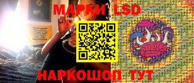spice Бузулук