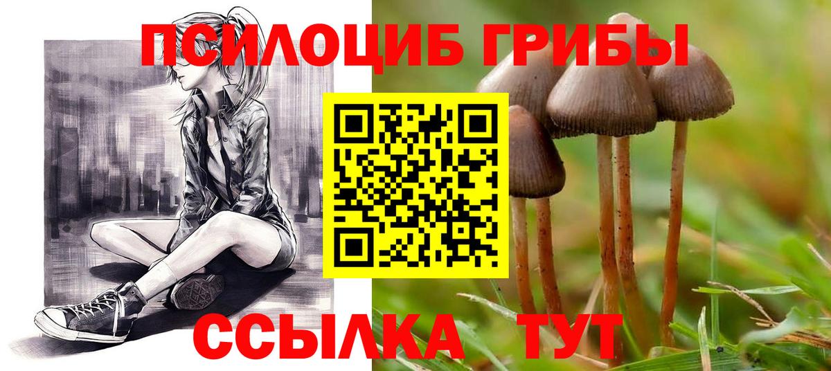 Краснокаменск  даркнет сайт  Вход с VPN  Галлюциногенные грибы GOLDEN TEACHER 