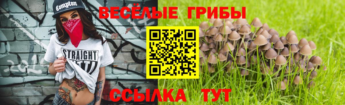 Галлюциногенные грибы GOLDEN TEACHER Краснокаменск